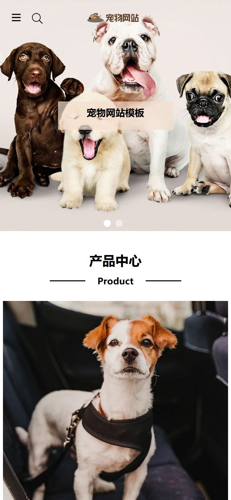 宠物商店宠物装备企业官网建设方案