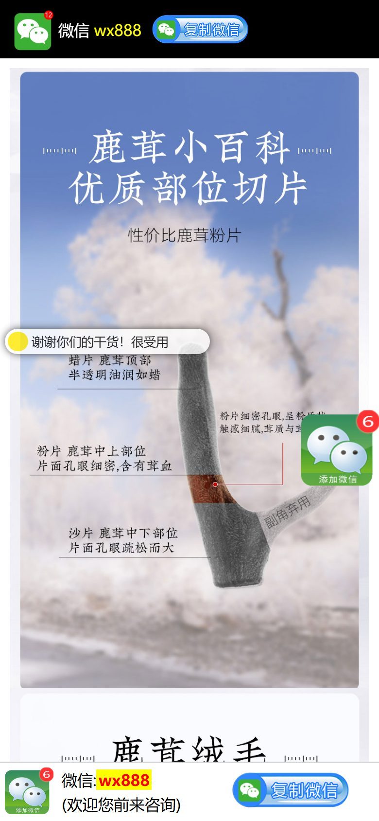 企业官网建设方案